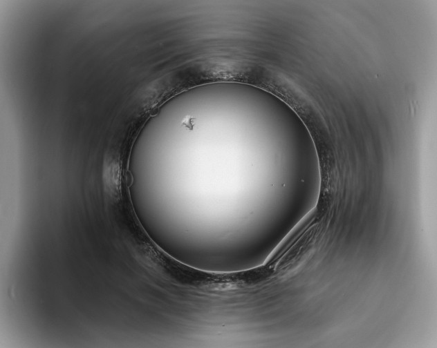 X0000094070646200710191120