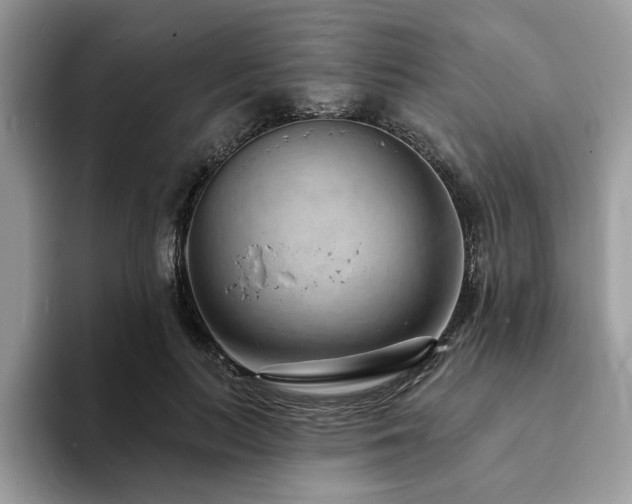 X0000094070647200710191120