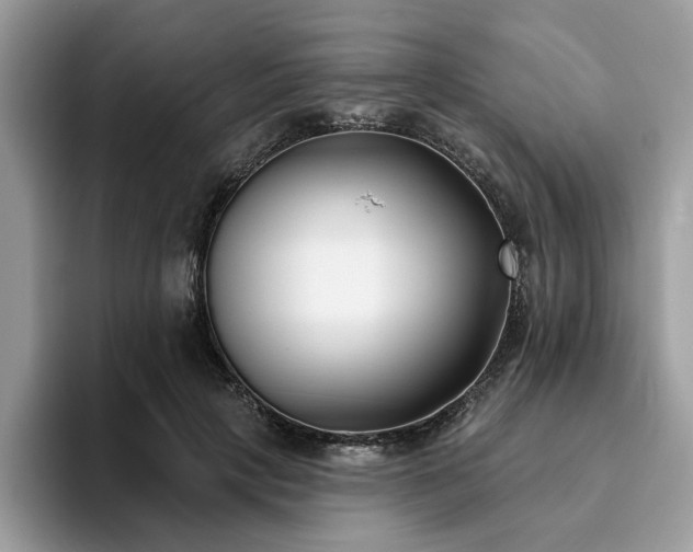 X0000094070649200710191120