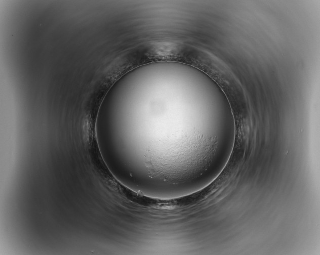 X0000094070651200710191120