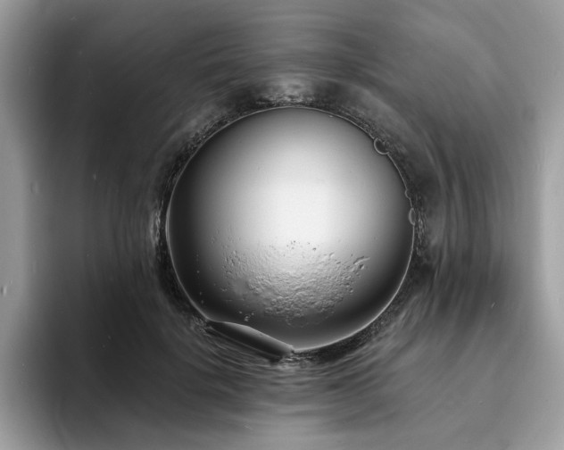 X0000094070652200710191120