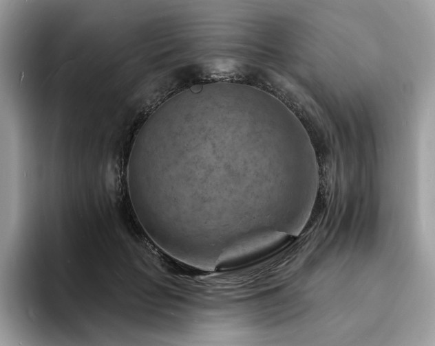 X0000094070653200710191120