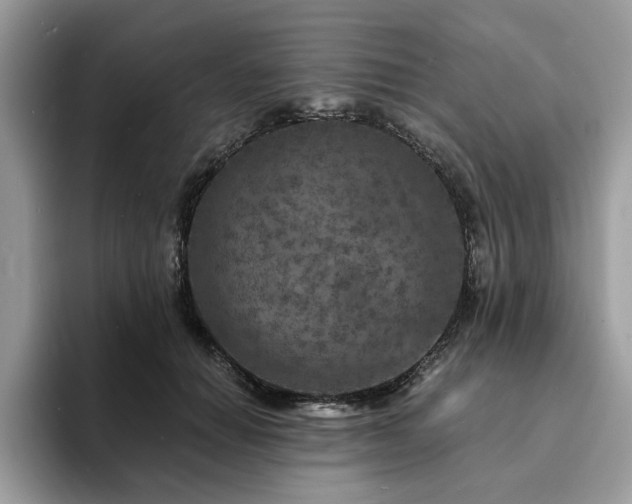 X0000094070654200710191120