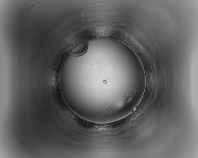 X0000094070655200710191120