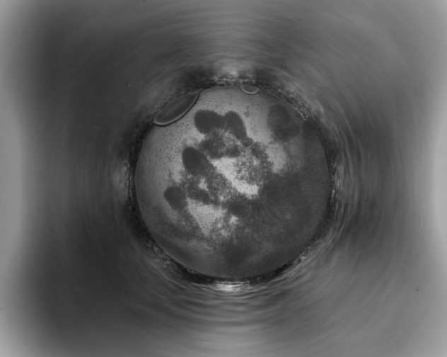 X0000094070659200710191120