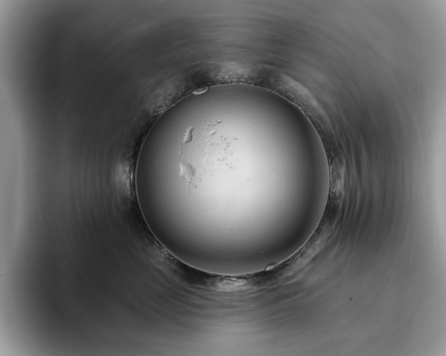 X0000094070669200710191121