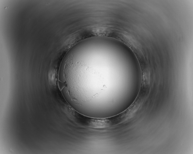 X0000094070671200710191121