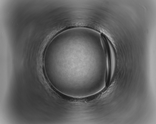 X0000094070673200710191120