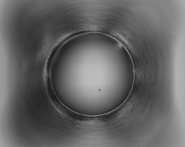 X0000094070674200710191120