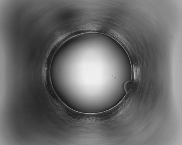 X0000094070675200710191120