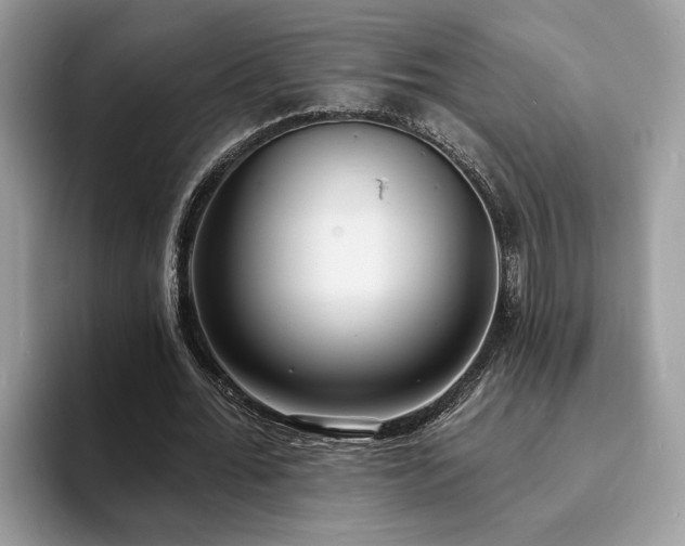 X0000094070676200710191120