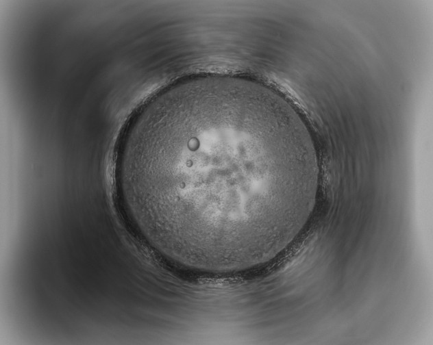 X0000094070679200710191120