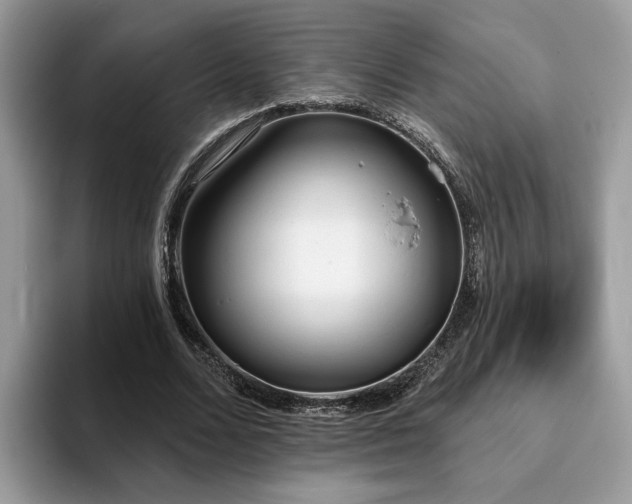 X0000094070680200710191120