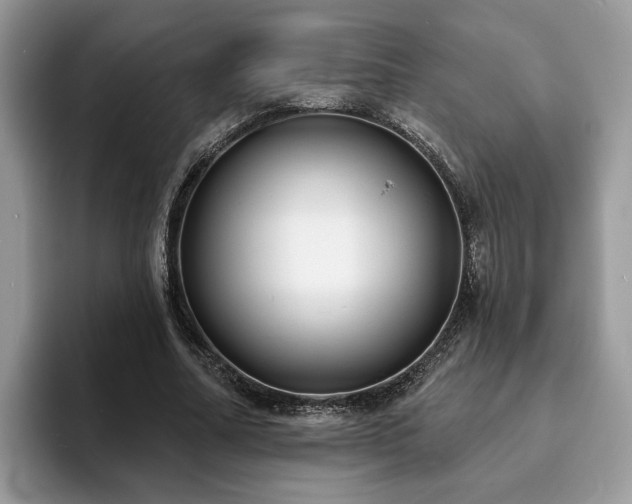 X0000094070682200710191120