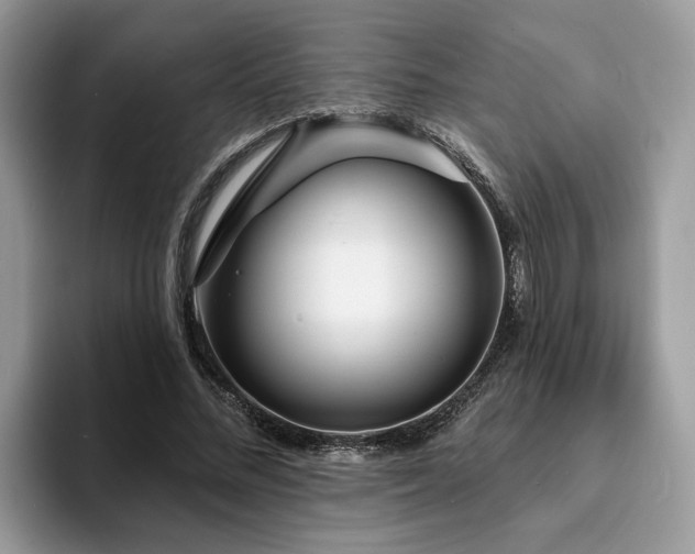X0000094070684200710191120