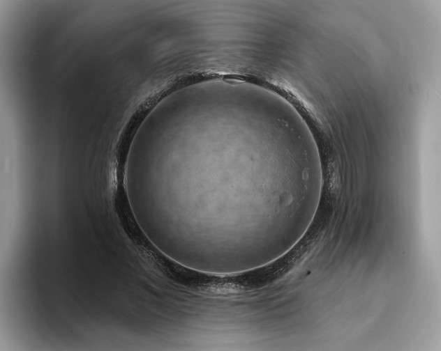X0000094070685200710191120