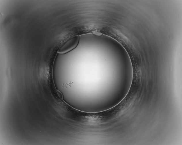 X0000094070693200710191120