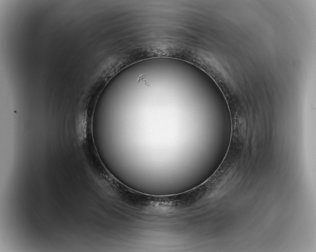 X0000094070694200710191120