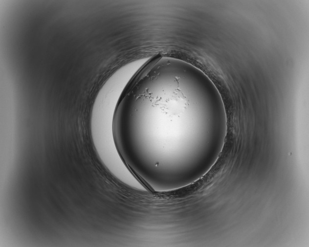 X0000094070697200710191120