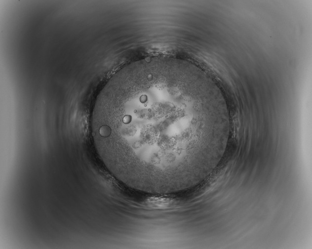 X0000094070699200710191120