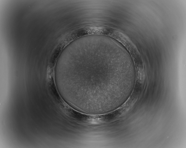 X0000094070701200710191120