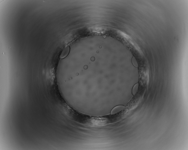X0000094070707200710191120