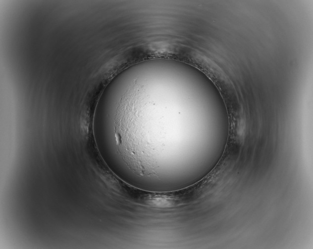 X0000094070710200710191120