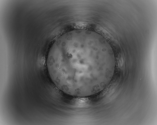 X0000094070711200710191120