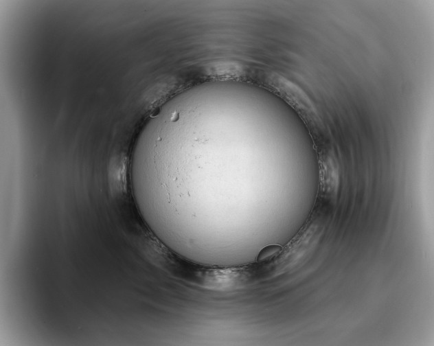 X0000094070717200710191120