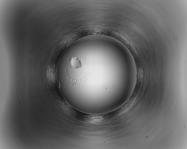 X0000094070719200710191120