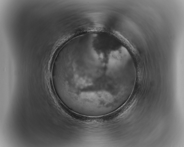 X0000094070721200710191119