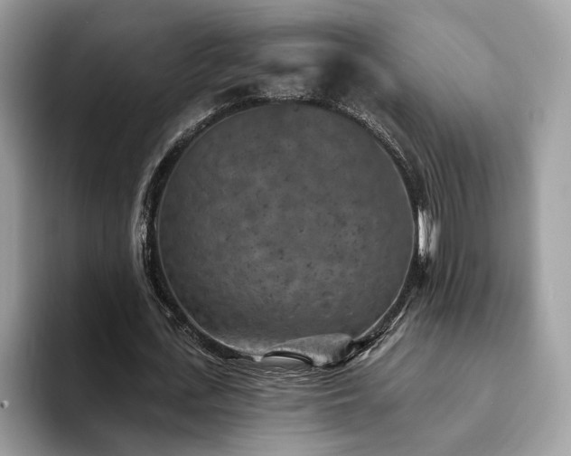 X0000094070723200710191119
