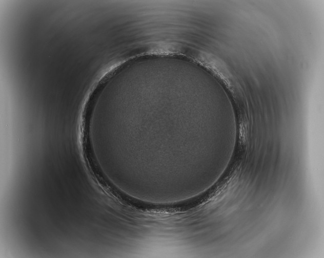 X0000094070724200710191119