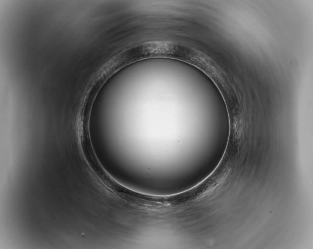 X0000094070725200710191119