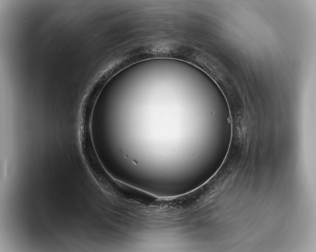 X0000094070728200710191119