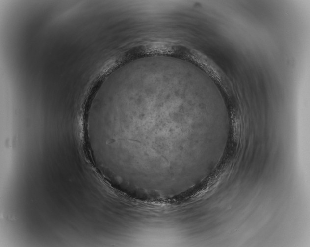 X0000094070729200710191119