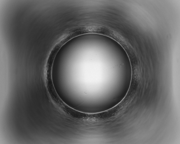 X0000094070730200710191119