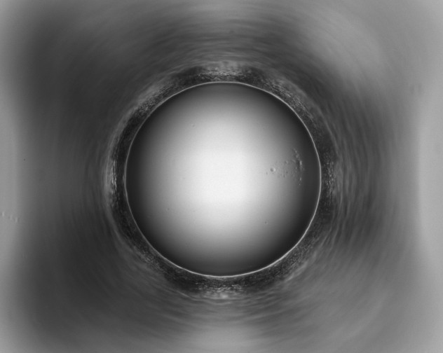 X0000094070731200710191119