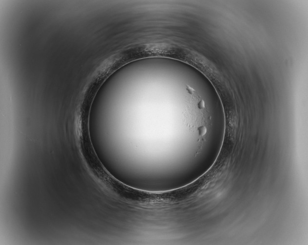 X0000094070734200710191119