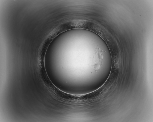 X0000094070735200710191119