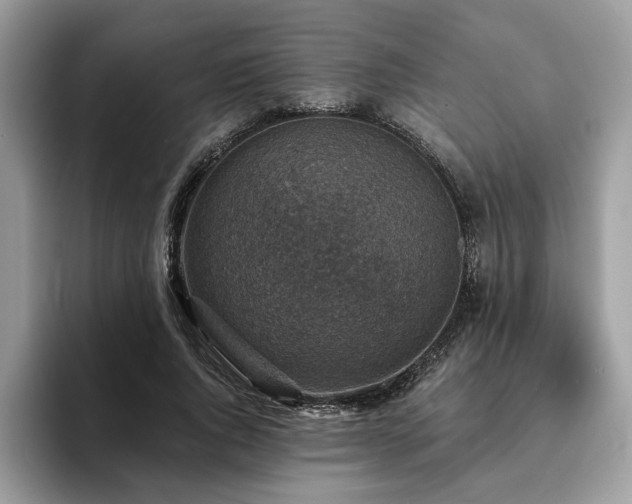 X0000094070736200710191119