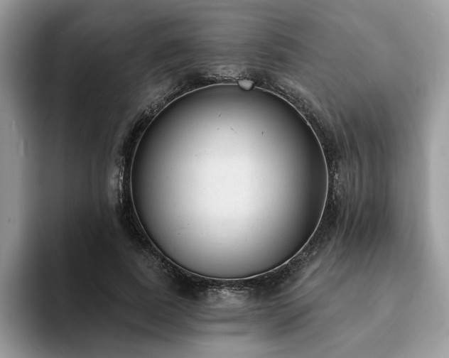 X0000094070739200710191119