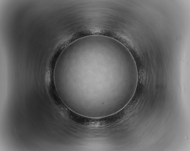 X0000094070740200710191119