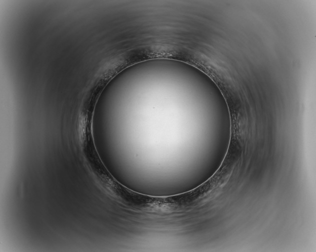 X0000094070742200710191119