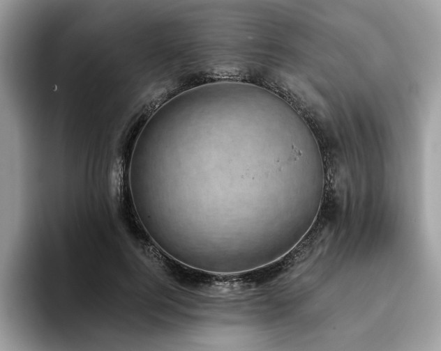 X0000094070744200710191119