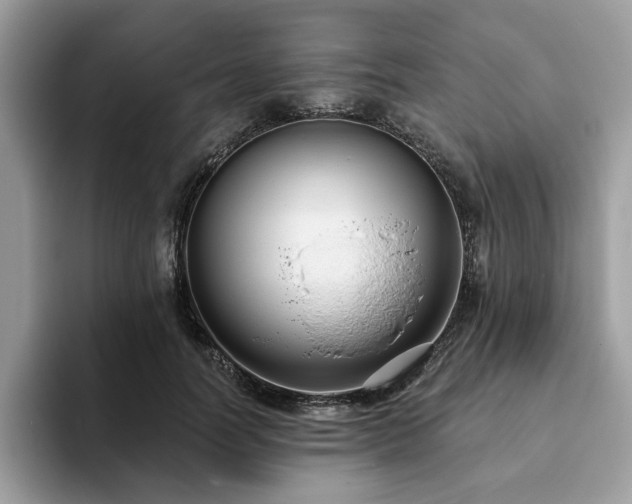 X0000094070746200710191119