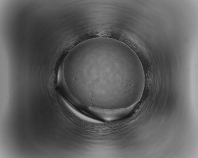 X0000094070748200710191119