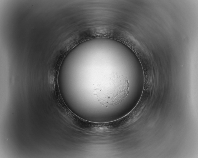 X0000094070749200710191119