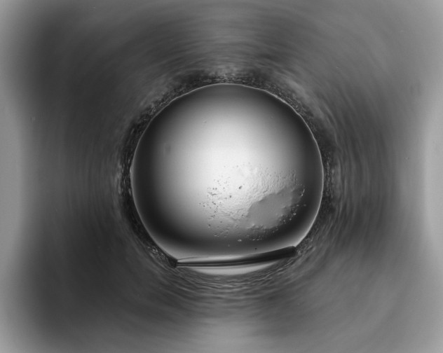 X0000094070750200710191119