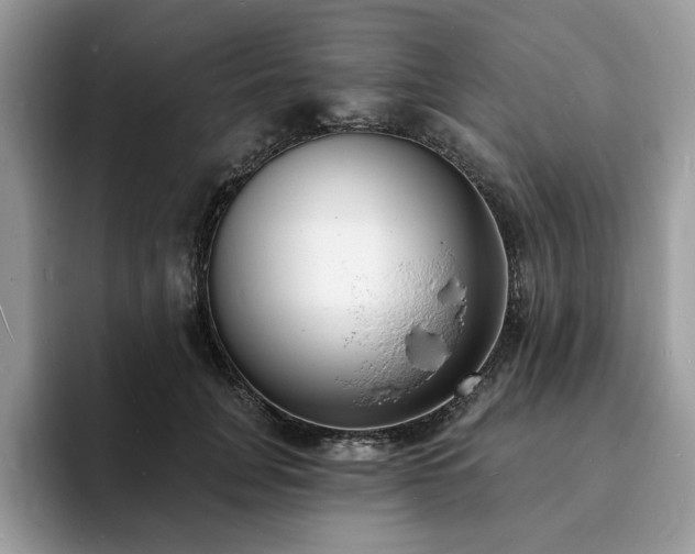 X0000094070751200710191119